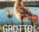 Vogelwacht presenteert gratis filmavond: Grutto!